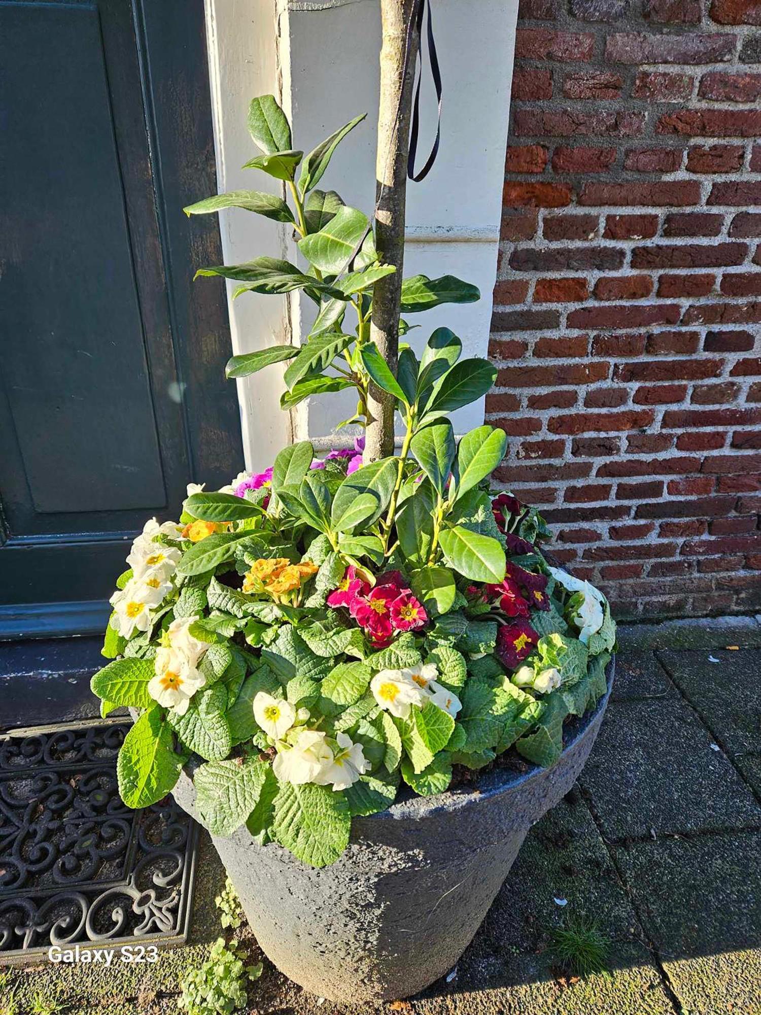 קאמפן De Stadsboerderij מראה חיצוני תמונה